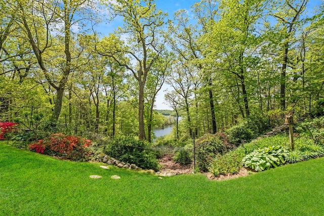 1391 Hunterbrook Rd, Yorktown Heights, NY 10598 - view of grassy yard