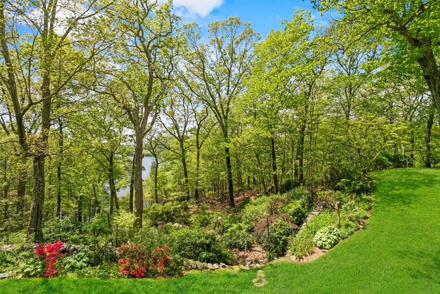 1391 Hunterbrook Rd, Yorktown Heights, NY 10598 - view of grassy yard with a view of trees