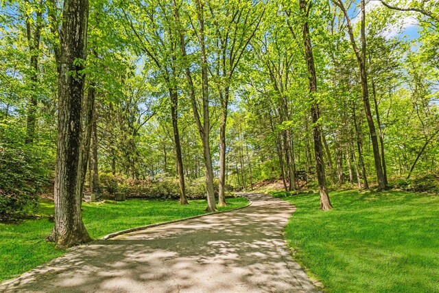 1391 Hunterbrook Rd, Yorktown Heights, NY 10598 - surrounding community featuring a lawn
