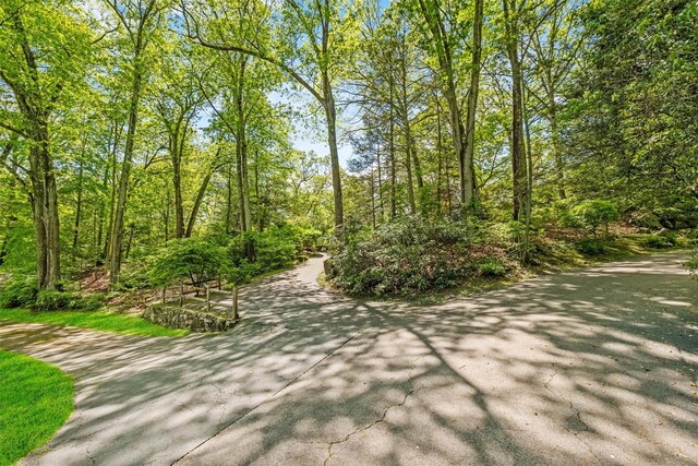 1391 Hunterbrook Rd, Yorktown Heights, NY 10598 - view of street