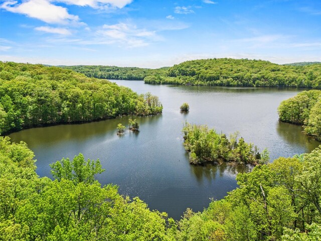 1391 Hunterbrook Rd, Yorktown Heights, NY 10598 - water view featuring a forest