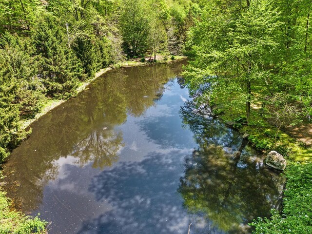 1391 Hunterbrook Rd, Yorktown Heights, NY 10598 - water view with a forest