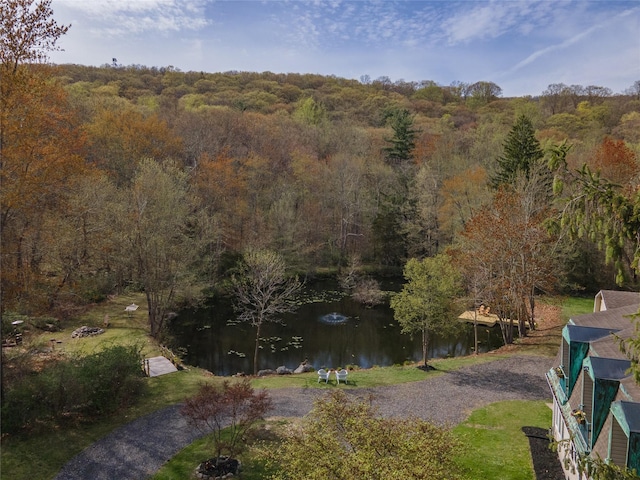 1712 Lakes Rd, Monroe, NY 10950 - drone / aerial view featuring a water view and a view of trees