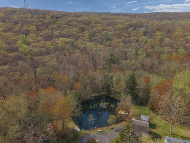 1712 Lakes Rd, Monroe, NY 10950 - bird's eye view featuring a water view and a view of trees