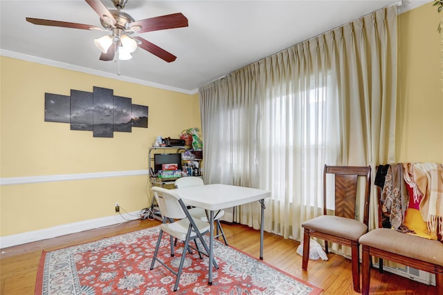 office space with wood finished floors, a wealth of natural light, crown molding, and ceiling fan