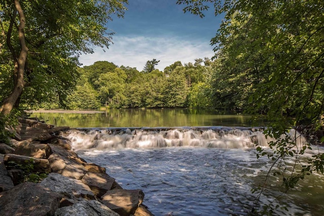 116 Oakland Ave, Tuckahoe, NY 10707 - water view featuring a forest