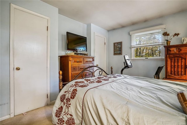 bedroom with carpet