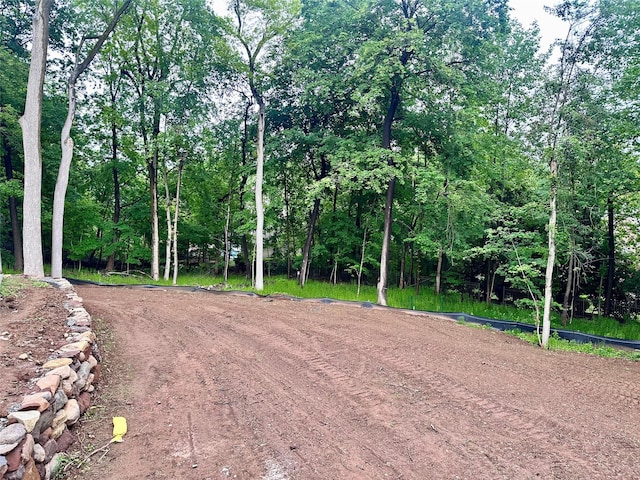 9 Ogrady Ct, Orangeburg, NY 10962 - view of yard