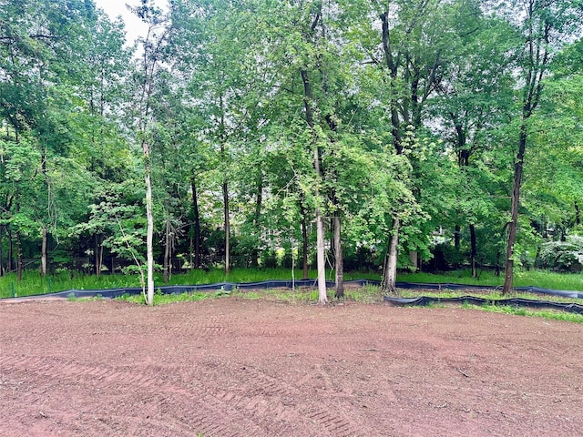 9 Ogrady Ct, Orangeburg, NY 10962 - view of yard