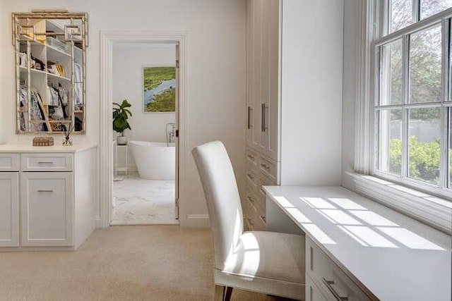office space with light colored carpet