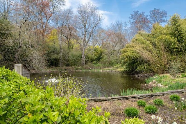 view of water feature with a view of trees