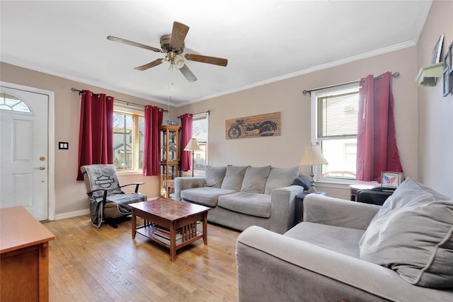 living area with ornamental molding, a ceiling fan, a healthy amount of sunlight, and light wood-type flooring