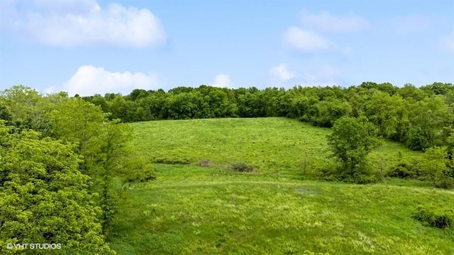 Gretna Rd, Pleasant Valley, NY 12569 - photo 6