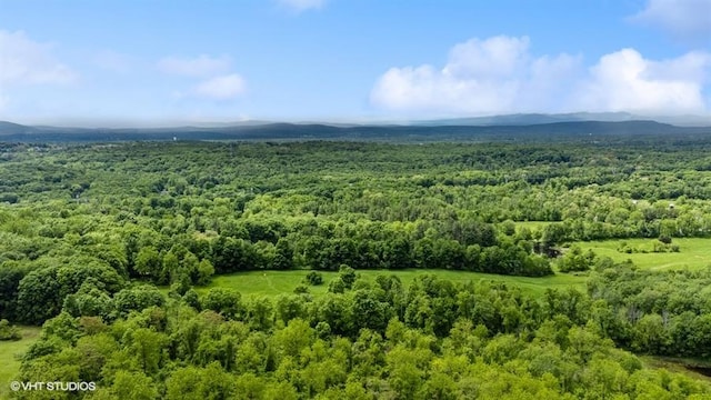 Gretna Rd, Pleasant Valley, NY 12569 - photo 7