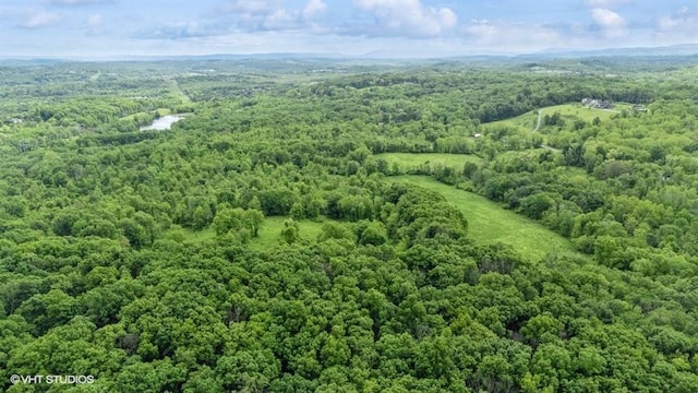 Gretna Rd, Pleasant Valley, NY 12569 - photo 9