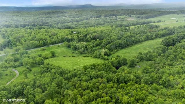 Gretna Rd, Pleasant Valley, NY 12569 - photo 10