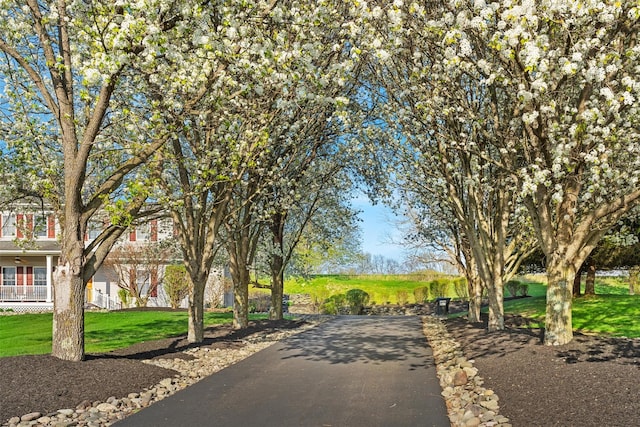 6 Fountayne Ct, Washingtonville, NY 10992 - view of road with aphalt driveway