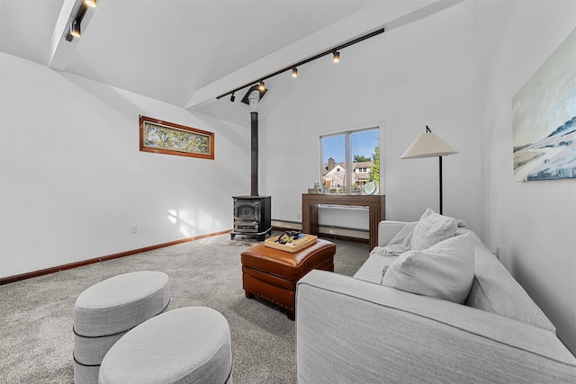 200 Fort Hill Rd, Scarsdale, NY 10583 - carpeted living area featuring track lighting, vaulted ceiling, a wood stove, a baseboard radiator, and baseboard heating