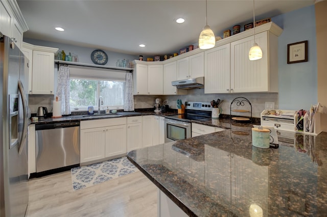 25 Evergreen Rd, Putnam Valley, NY 10579 - kitchen featuring under cabinet range hood, stainless steel appliances, a sink, light wood-style floors, and pendant lighting