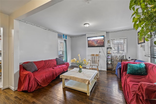 living room featuring baseboards and hardwood / wood-style floors