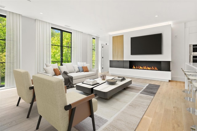 41 Richmondville Ave Unit Duplex 2, Call Listing Agent, CT 06880 - living room with light wood-style floors and a lit fireplace