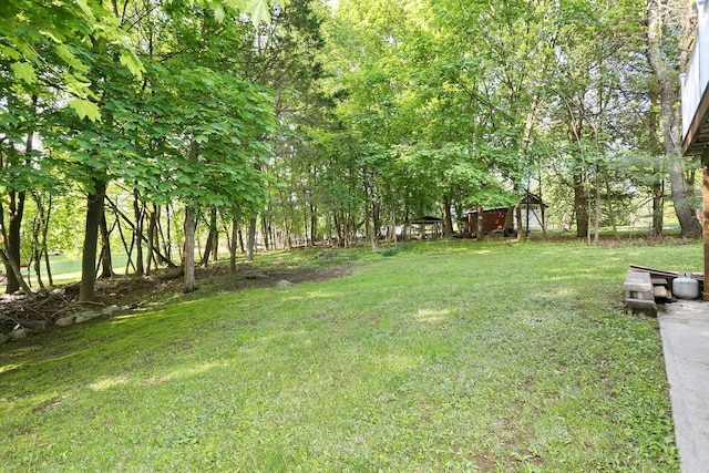 view of grassy yard