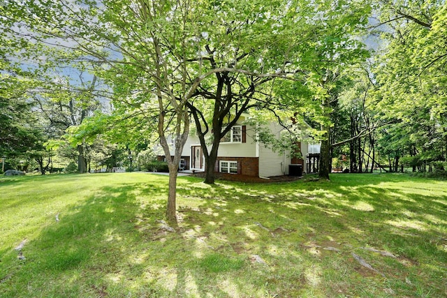 view of green lawn