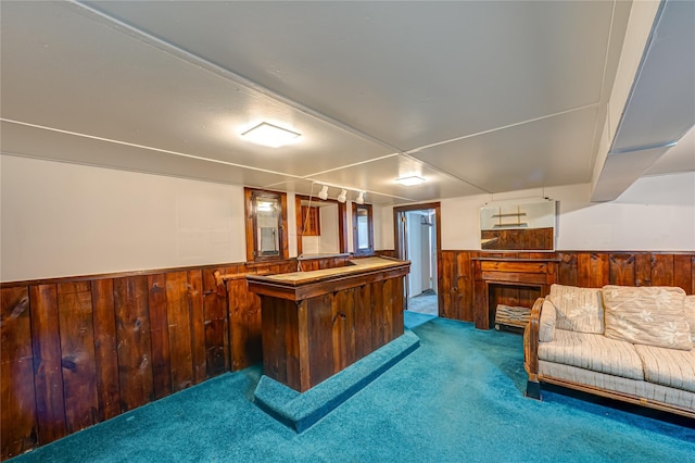 bar with wood walls, a dry bar, carpet flooring, and a wainscoted wall