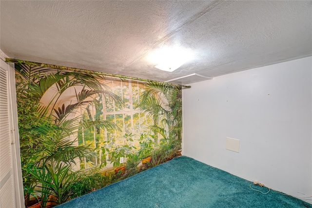 carpeted spare room featuring a textured ceiling