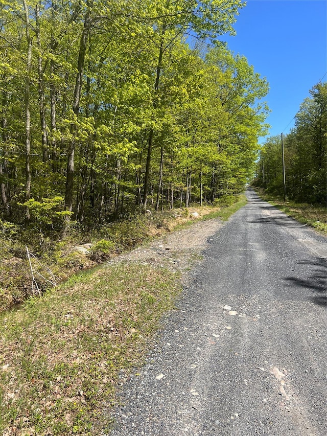 Schneller Ln, Pine Bush, NY 12566 - photo 1