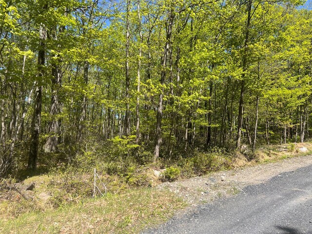 Schneller Ln, Pine Bush, NY 12566 - photo 3