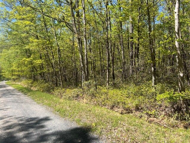 Schneller Ln, Pine Bush, NY 12566 - photo 4
