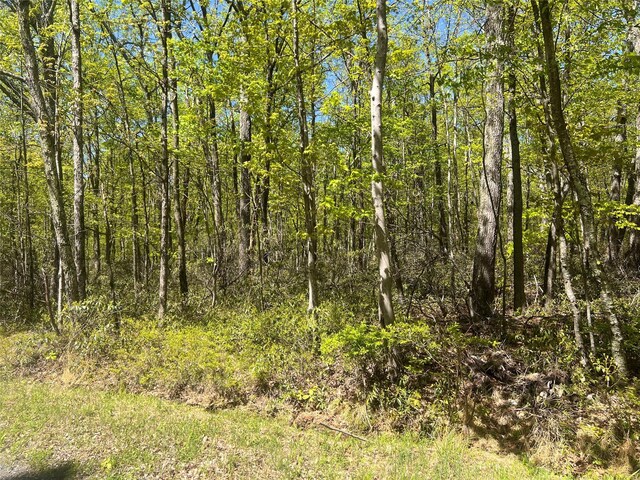 Schneller Ln, Pine Bush, NY 12566 - photo 5