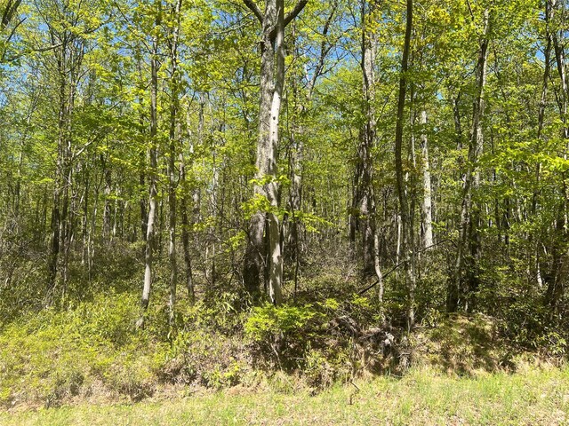 Schneller Ln, Pine Bush, NY 12566 - photo 6