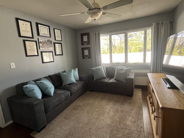 living area with ceiling fan and a healthy amount of sunlight