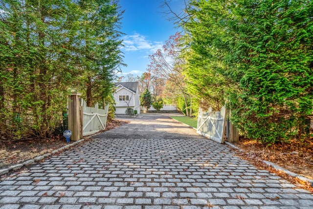 exterior space with a gate, driveway, and a gated entry