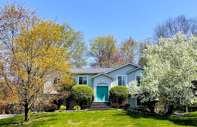 raised ranch featuring entry steps and a front lawn