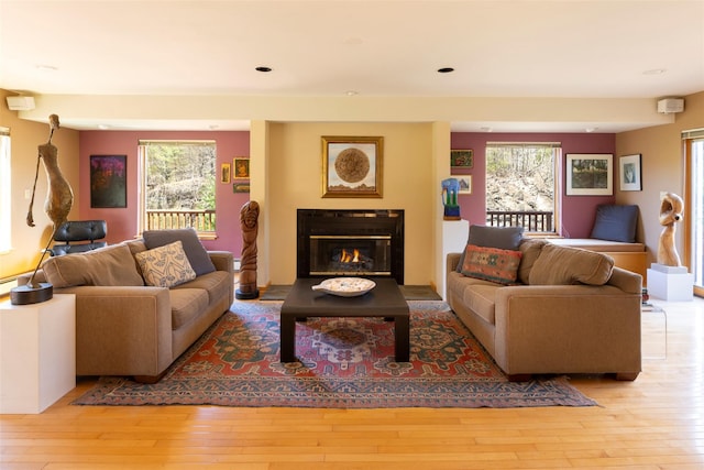 living area featuring a glass covered fireplace, plenty of natural light, and hardwood / wood-style floors
