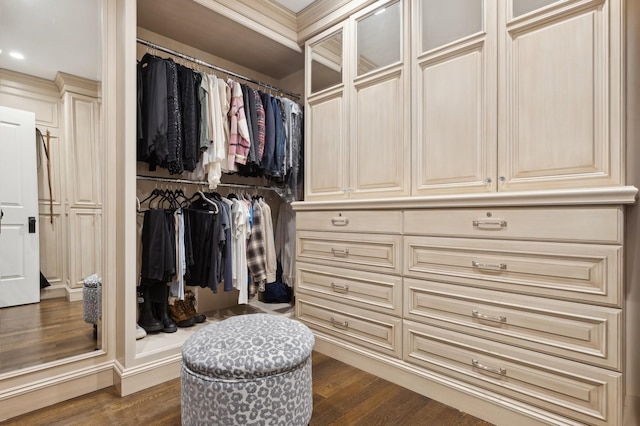 walk in closet with dark wood-type flooring