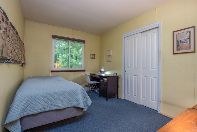 14 Wesley Ct, Congers, NY 10920 - bedroom featuring carpet and a closet