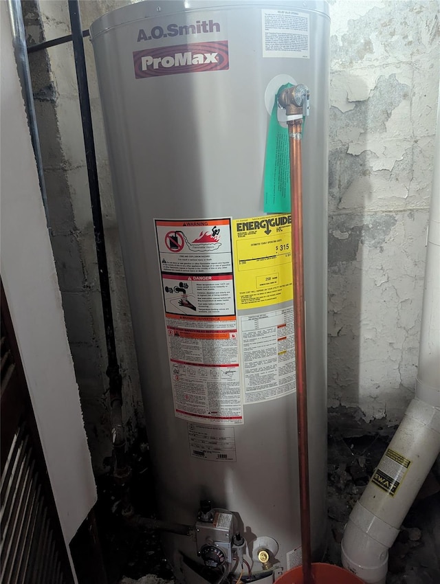 utility room with gas water heater