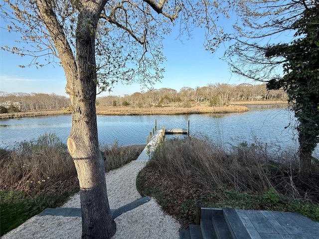 dock area with a water view