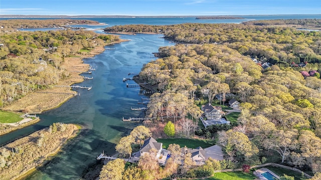 bird's eye view with a water view and a wooded view