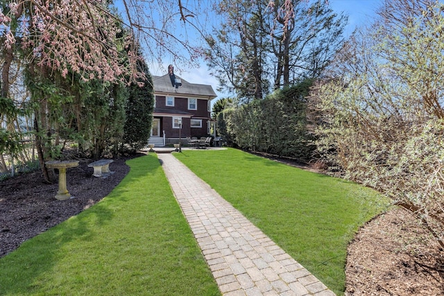 view of yard featuring a patio area