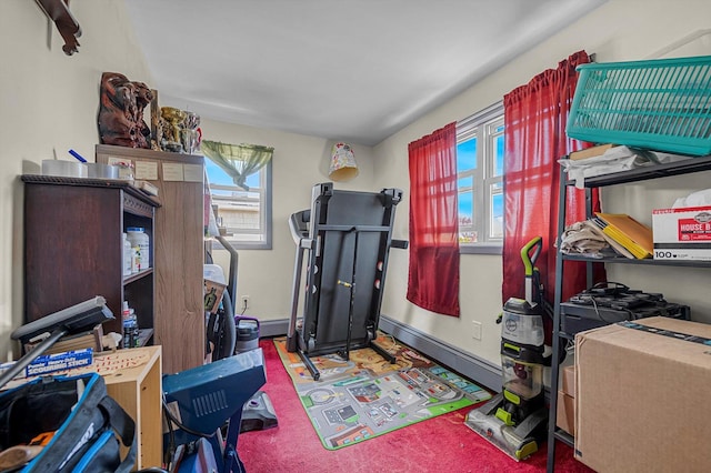 interior space with carpet flooring