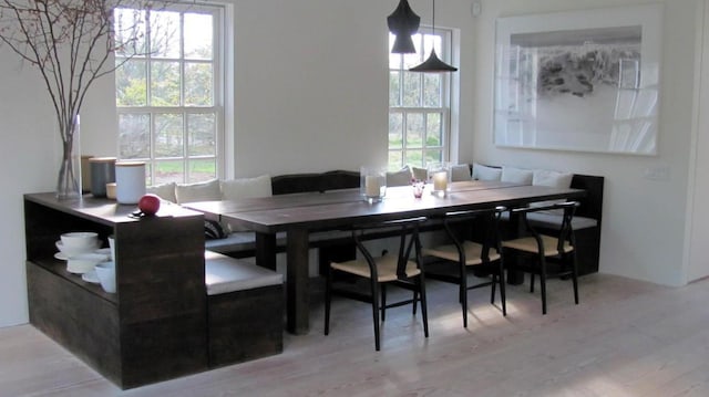 dining space featuring wood finished floors
