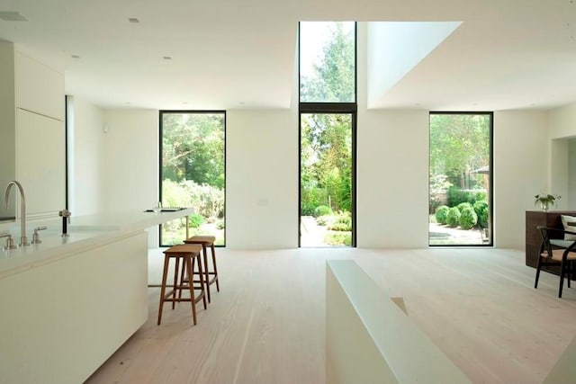 entryway featuring expansive windows, a sink, and light wood-style floors