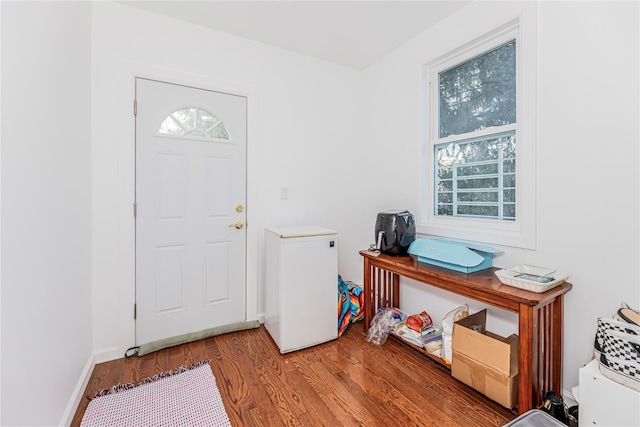 entrance foyer with wood finished floors and a healthy amount of sunlight