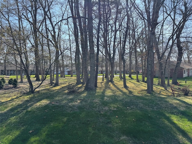 79 Enfield Ct Unit B, Ridge, NY 11961 - view of yard