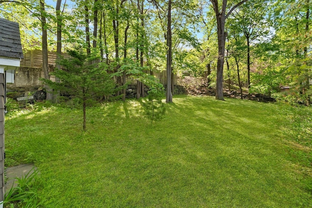 view of yard
